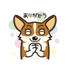 犬種別スタンプ⑨ コーギー（個別スタンプ：4）