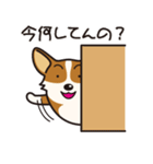 犬種別スタンプ⑨ コーギー（個別スタンプ：22）