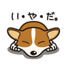 犬種別スタンプ⑨ コーギー（個別スタンプ：27）