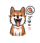 柴犬のふじ（個別スタンプ：10）