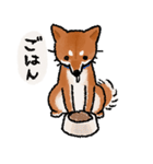 柴犬のふじ（個別スタンプ：17）