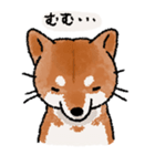 柴犬のふじ（個別スタンプ：35）