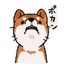 柴犬のふじ（個別スタンプ：38）