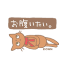 ぬいぐるみねこ（個別スタンプ：28）