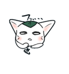 もっちりのびのび、餅ねこ（個別スタンプ：9）