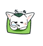 もっちりのびのび、餅ねこ（個別スタンプ：11）