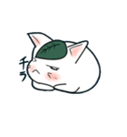 もっちりのびのび、餅ねこ（個別スタンプ：17）