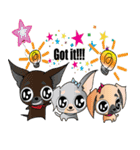 Cute Chihuahua dogs - best friends set（個別スタンプ：7）