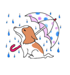 落書き風のホエーちゃん（個別スタンプ：21）