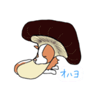 落書き風のホエーちゃん（個別スタンプ：33）