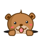 Thaily Baby Bear（個別スタンプ：23）