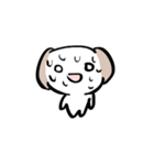 たぶん、イヌ（個別スタンプ：35）