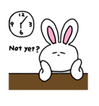 Acchan of rabbit English version（個別スタンプ：5）