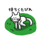白ねこのシロー（個別スタンプ：6）