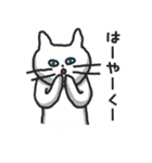 白ねこのシロー（個別スタンプ：7）