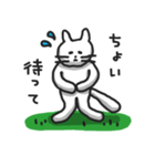 白ねこのシロー（個別スタンプ：14）