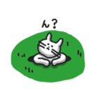 白ねこのシロー（個別スタンプ：17）