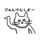 白ねこのシロー（個別スタンプ：19）
