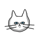白ねこのシロー（個別スタンプ：37）