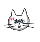白ねこのシロー（個別スタンプ：38）
