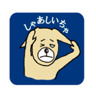 北九州弁で話す犬 健太郎（個別スタンプ：33）