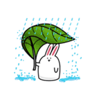 A-Shi Rabbit（個別スタンプ：25）