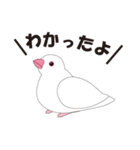 文鳥と一緒（個別スタンプ：1）