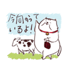 でぶねこさん（個別スタンプ：27）