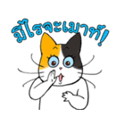Madam Samsi (TH)（個別スタンプ：2）
