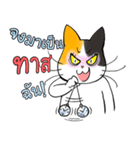Madam Samsi (TH)（個別スタンプ：3）