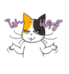 Madam Samsi (TH)（個別スタンプ：4）