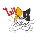 Madam Samsi (TH)（個別スタンプ：14）