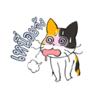 Madam Samsi (TH)（個別スタンプ：16）