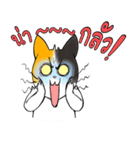 Madam Samsi (TH)（個別スタンプ：17）