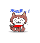 柴犬のりょう（個別スタンプ：5）