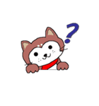 柴犬のりょう（個別スタンプ：10）