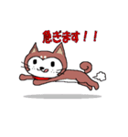 柴犬のりょう（個別スタンプ：27）