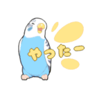 インコびより（個別スタンプ：4）