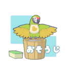 インコびより（個別スタンプ：6）