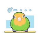 インコびより（個別スタンプ：7）