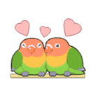 インコびより（個別スタンプ：9）