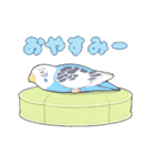 インコびより（個別スタンプ：10）