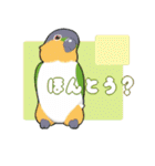 インコびより（個別スタンプ：23）