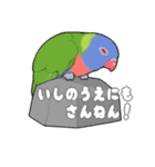 インコびより（個別スタンプ：31）