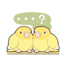 インコびより（個別スタンプ：36）