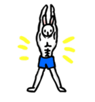 筋肉ウサギ（個別スタンプ：40）