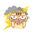 WHO CAREs Cat（個別スタンプ：9）