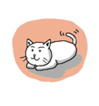 猫殿（個別スタンプ：34）