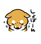 柴犬スタンプ～赤柴～（個別スタンプ：13）