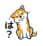 柴犬スタンプ～赤柴～（個別スタンプ：25）